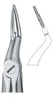 Tooth Ext Forceps